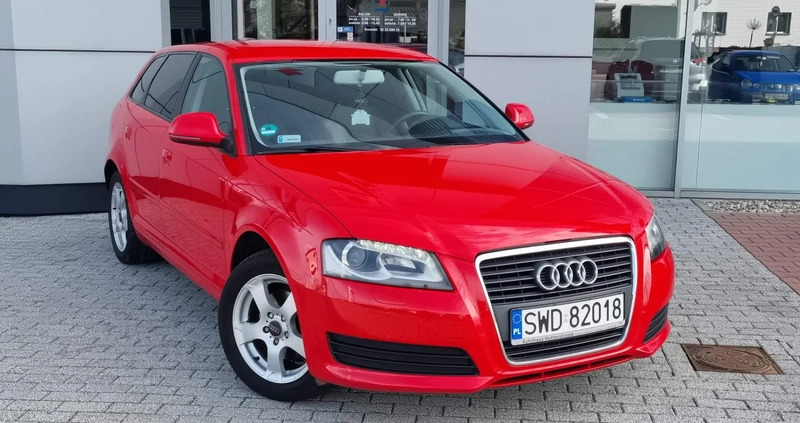 Audi A3 cena 24900 przebieg: 189500, rok produkcji 2008 z Hajnówka małe 56